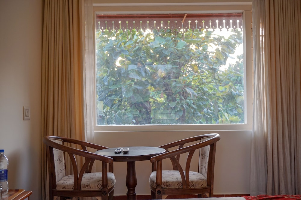 Suite Room photo 2