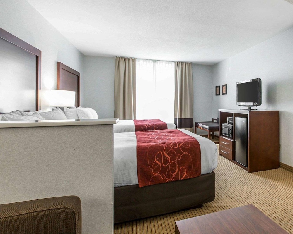 Family Studio Suite, Multiple Beds