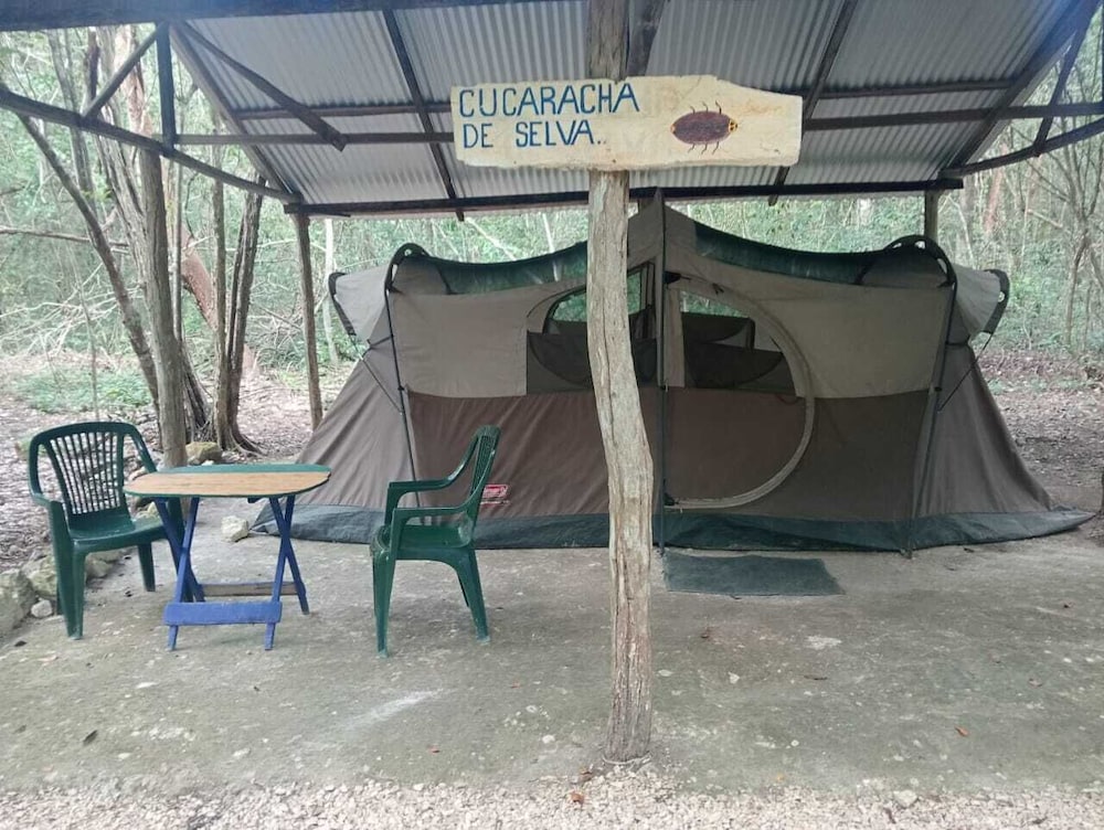 Tent, 2 Queen Beds photo 1