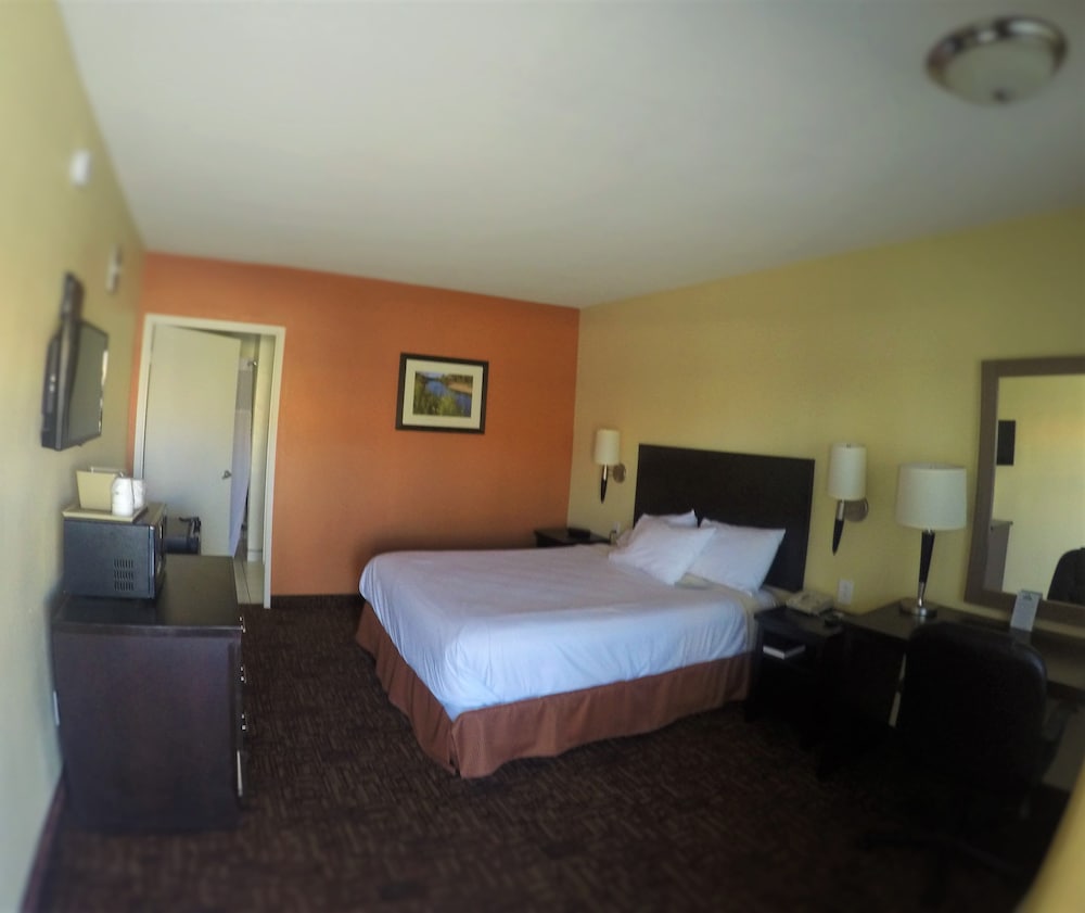 Room, 1 King Bed, Non Smoking photo 1