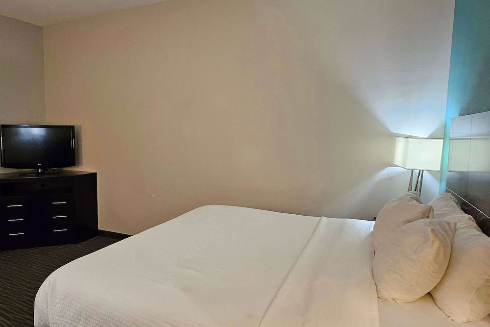 Room, 1 King Bed, Hearing Accessible, Non Smoking (Mobility, Roll-in Shower) - Photo 1