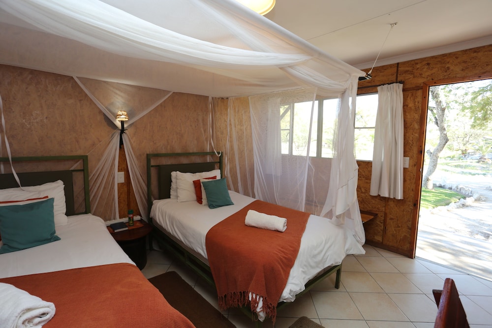 Twin Room photo 3