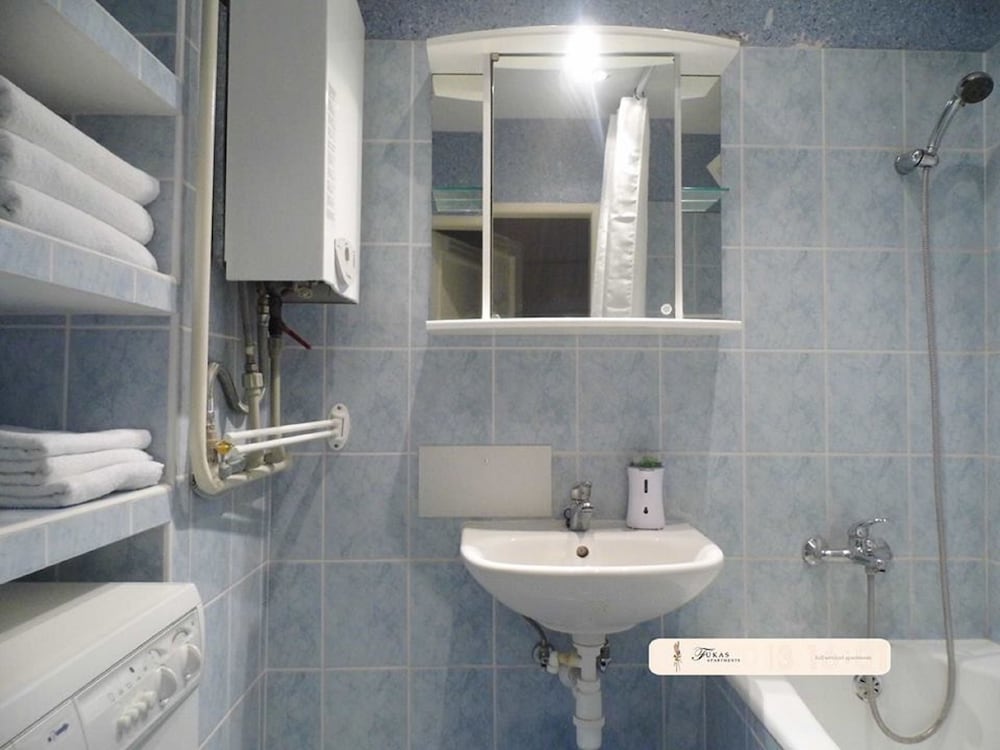 Superior Apartment, 1 Bedroom, Kitchen, River View photo 3