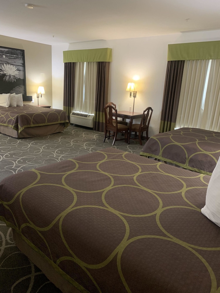 Room, Multiple Beds, Accessible, Non Smoking - Photo 2
