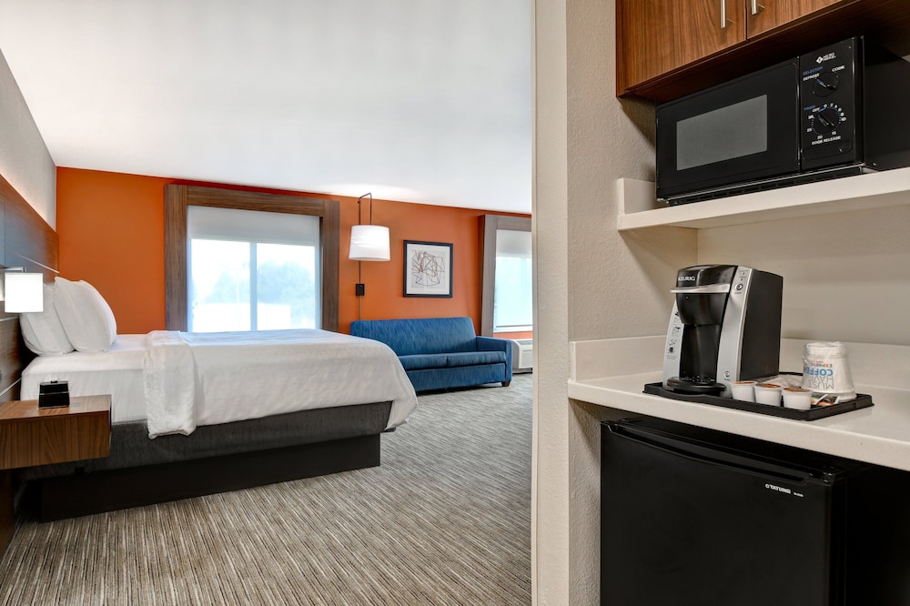 Suite, 1 King Bed - Photo 4