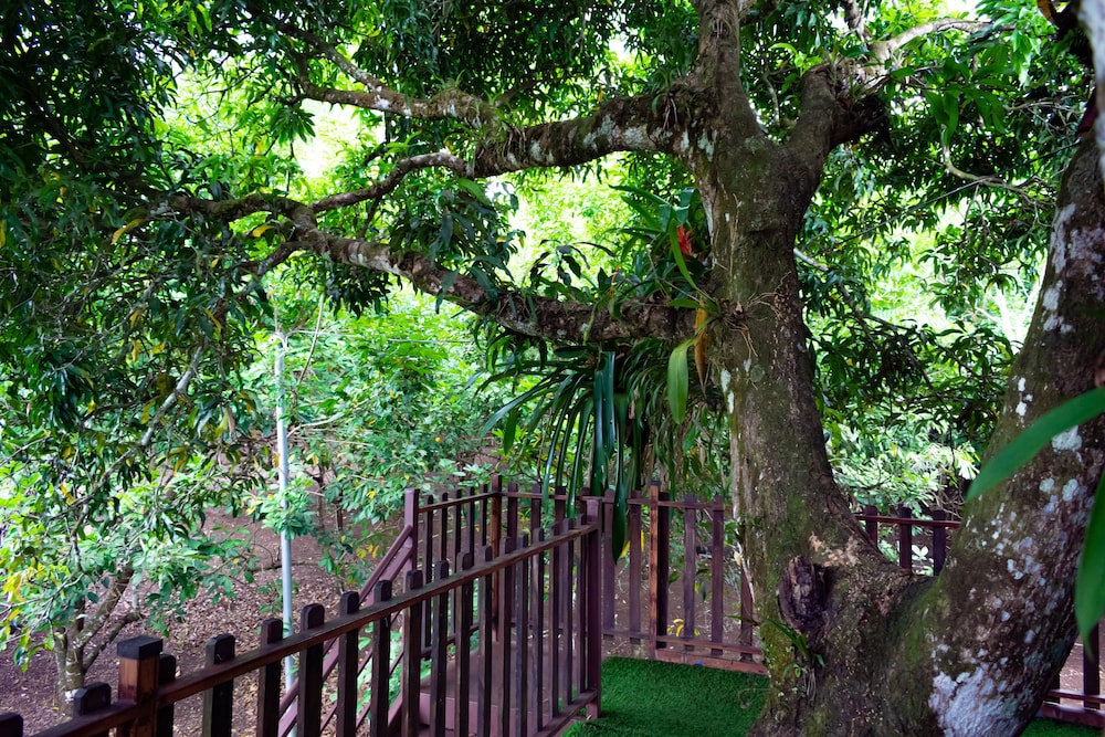 Deluxe Treehouse photo 2