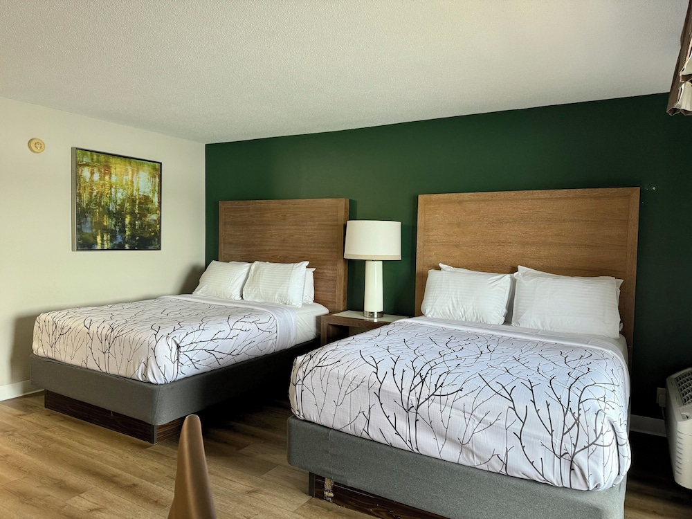 Room, 2 Queen Beds photo 1
