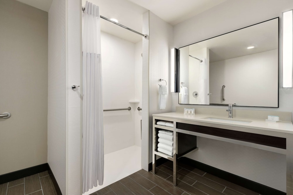 Room, 1 King Bed, Accessible, Non Smoking (mob/hearing acc w/ roll-in shower) photo 3