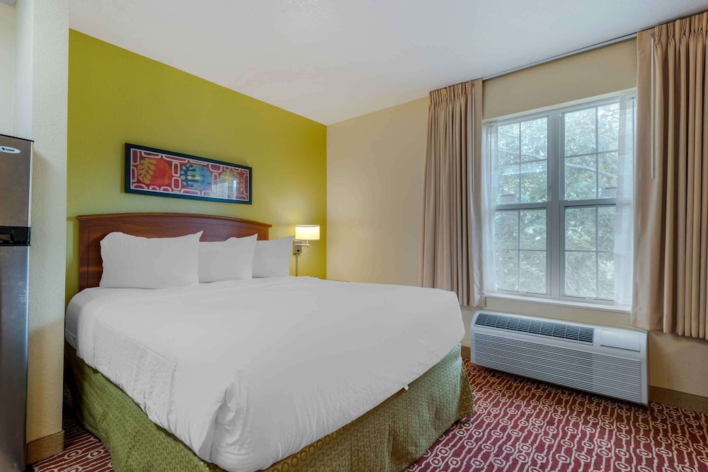 Deluxe Studio, 1 Queen Bed, Non Smoking, Refrigerator & Microwave - Photo 13