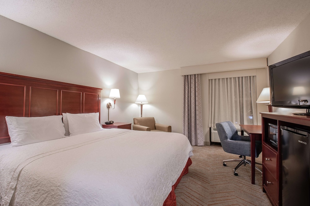 Standard Room, 1 King Bed, Accessible,Walk-in Shower - Photo 2