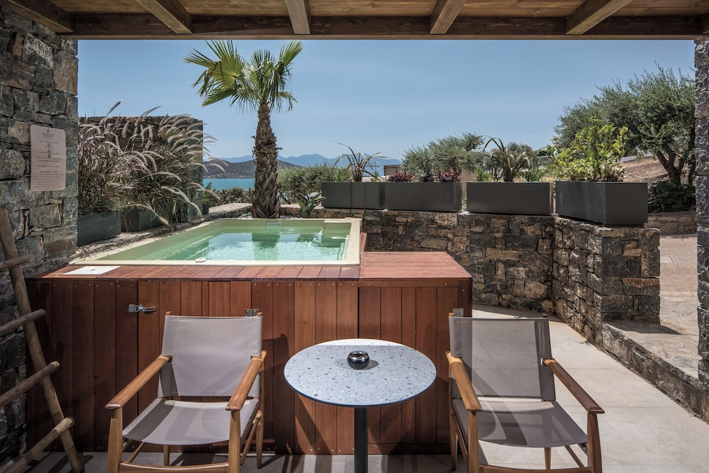 Double Room with Plunge Pool photo 3