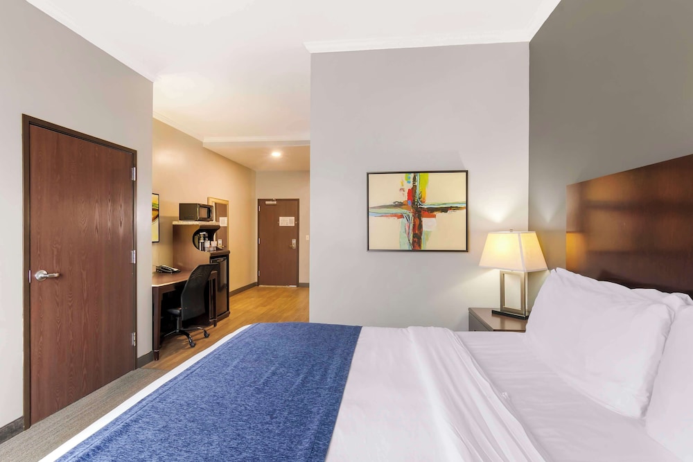 Standard Room, 1 King Bed, Non Smoking, Refrigerator & Microwave (with Sofabed) - Photo 5
