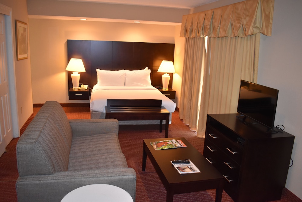 Studio Suite, 1 King Bed, Non Smoking - Photo 2