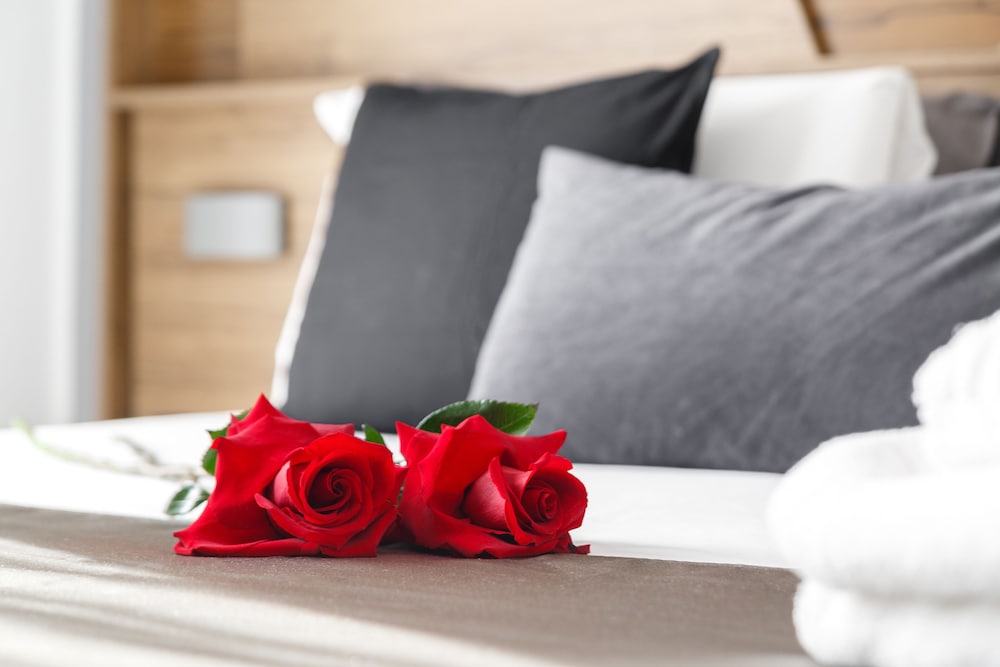 Standard Double or Twin Room photo 1