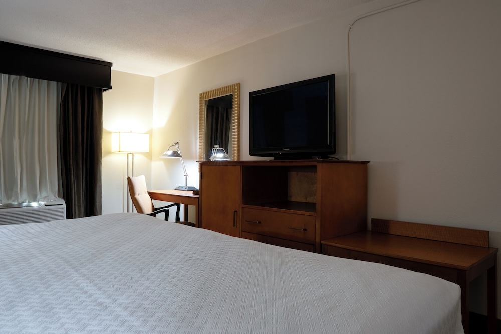 Room, 1 King Bed, Non Smoking photo 2