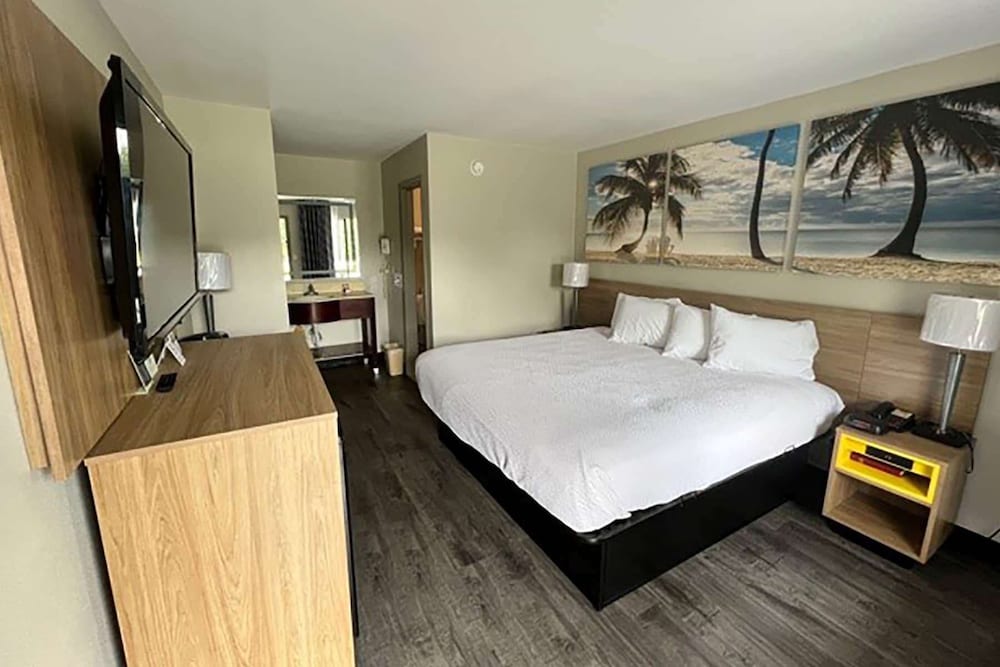 Room, 1 King Bed, Non Smoking - Photo 1