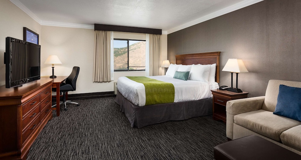 Standard Room, 1 King Bed, Jetted Tub (with Sofabed) - Photo 1