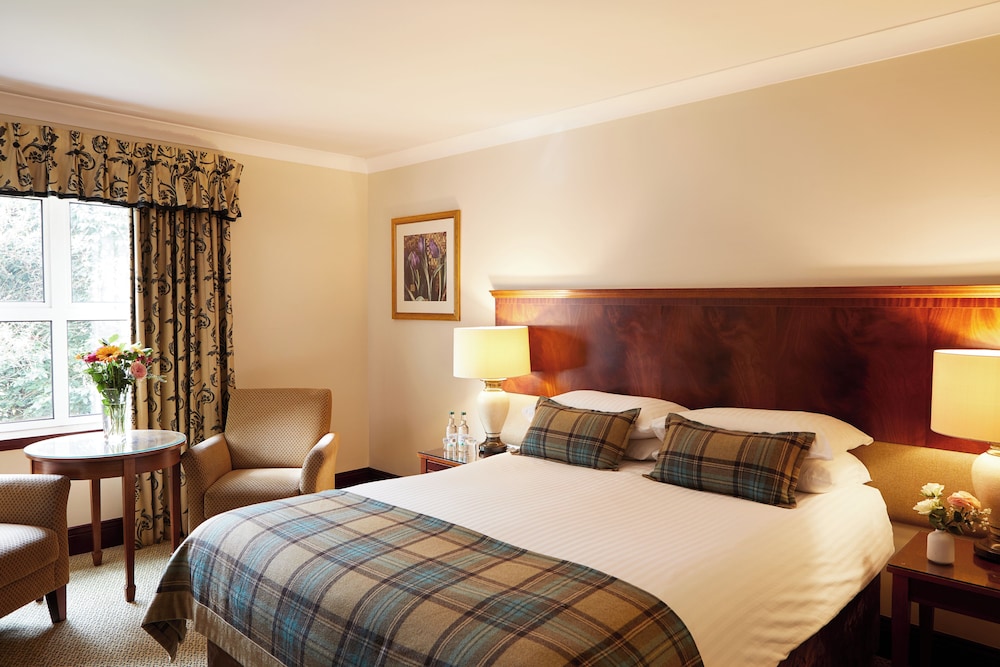 King Room photo 3