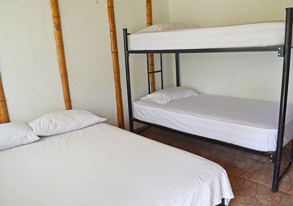 Room, Garden View