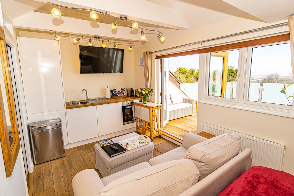 Panoramic Studio, 1 King Bed photo 1