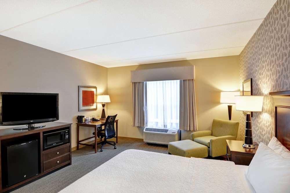 Room, 1 King Bed, Accessible - Photo 1