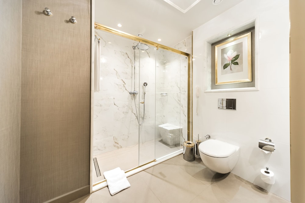 Luxury Room photo 3