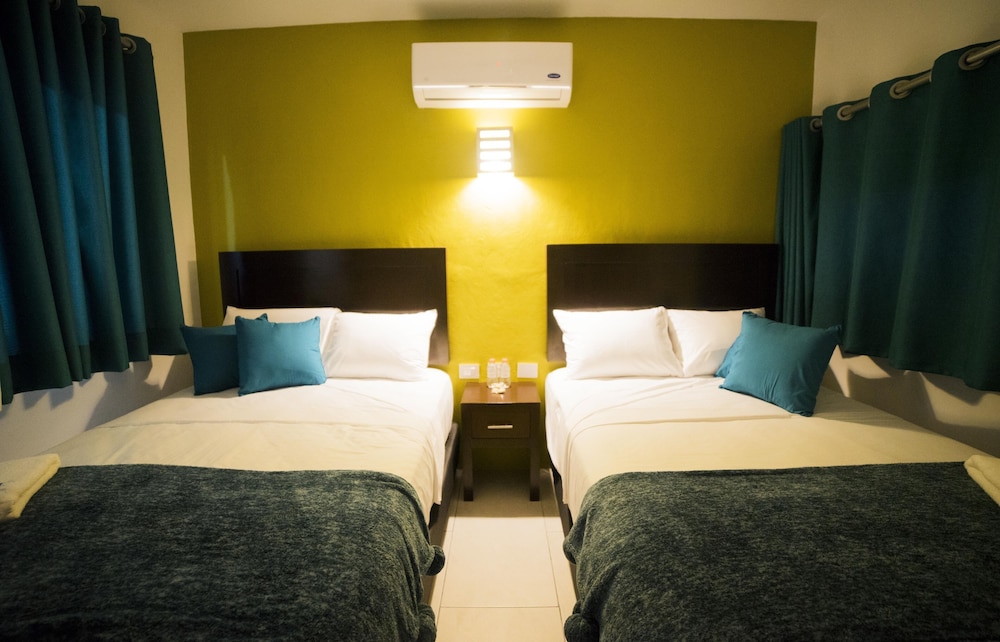 Basic Room, 2 Double Beds photo 3