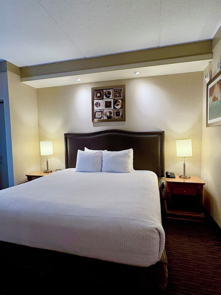 Deluxe Room, 1 King Bed with Sofa bed, Non Smoking - Photo 1