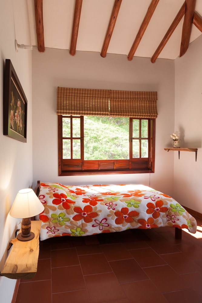 Basic Single Room, 1 Twin Bed, Garden View photo 3