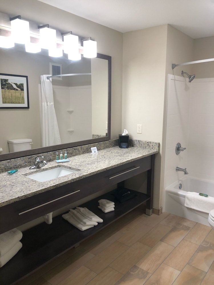 Suite, 1 King Bed (King Spa) photo 3