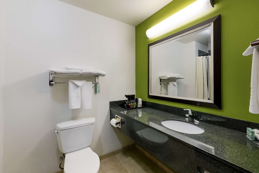 Standard Room, 1 King Bed, Non Smoking, Refrigerator & Microwave photo 2