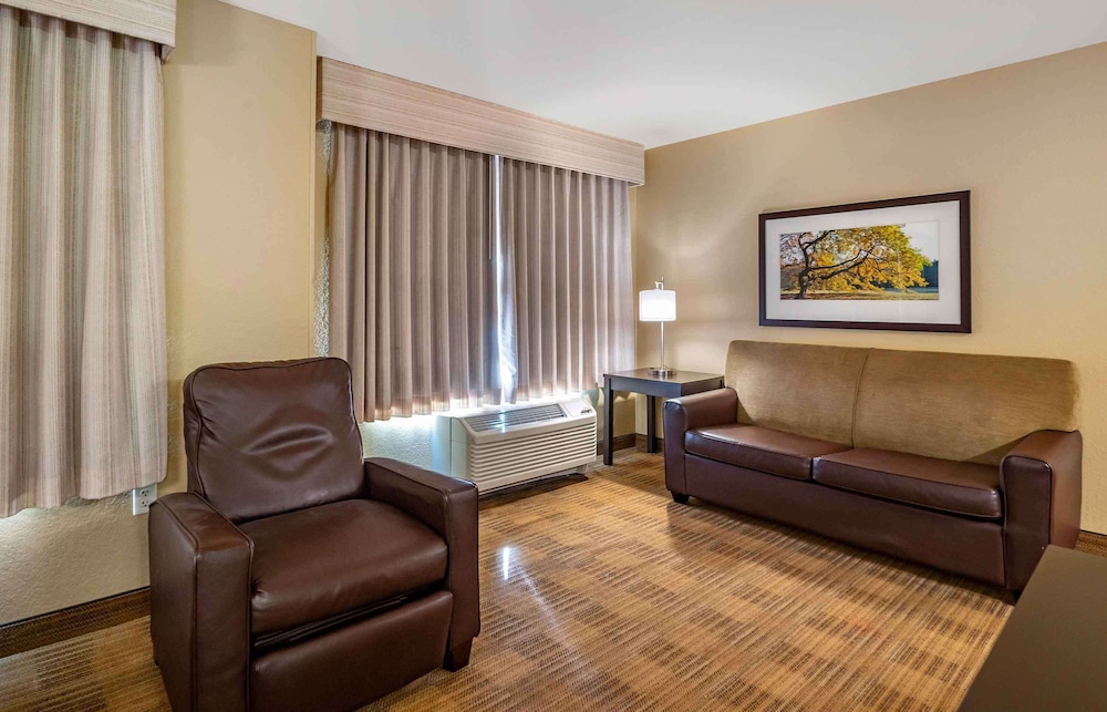 Deluxe Studio, Multiple Beds, Non Smoking - Photo 2