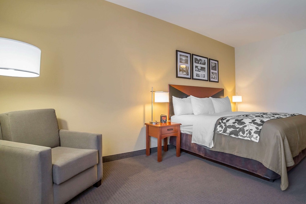 Standard Room, 1 King Bed, Non Smoking - Photo 2