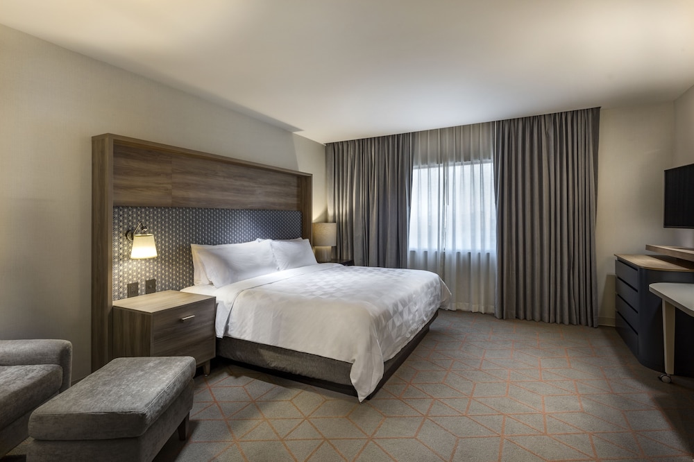 Suite, 1 Bedroom - Photo 3