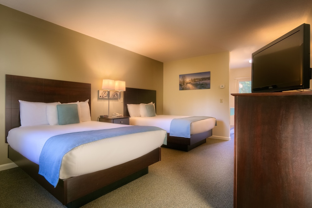 Superior Room, 2 Double Beds, Patio photo 1