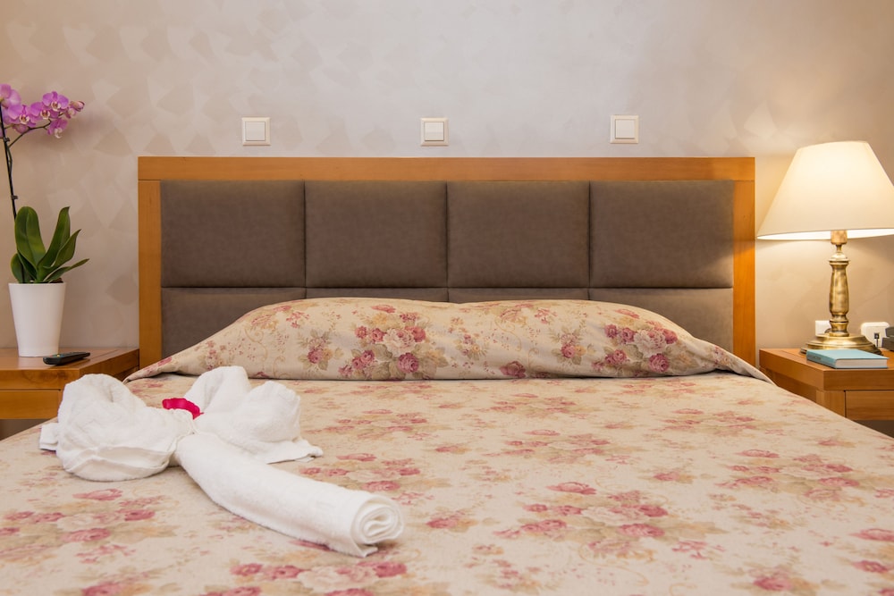 Double or Twin Room photo 3