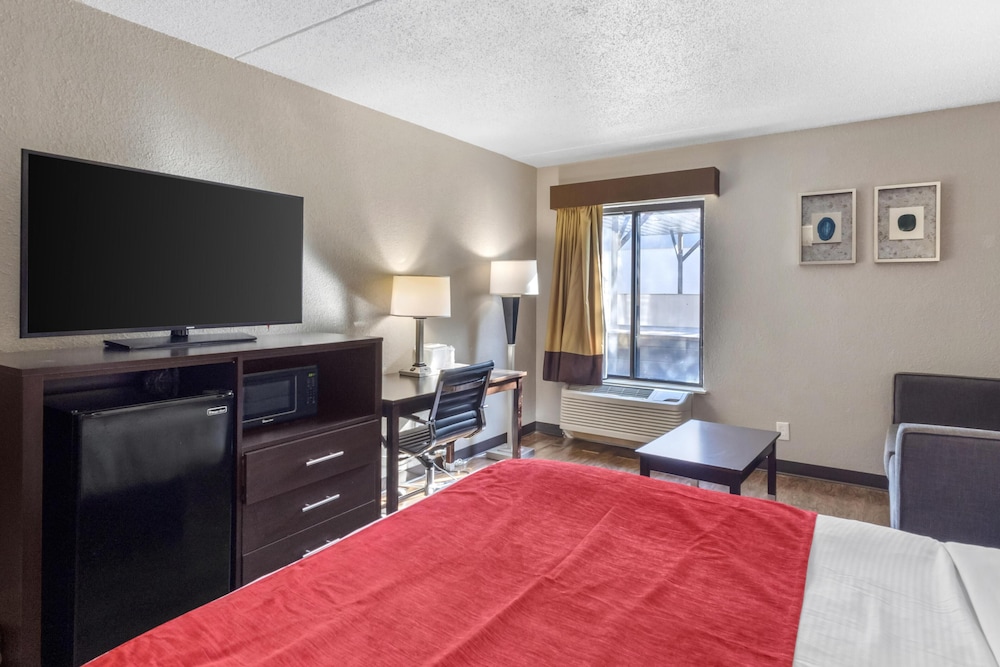 Standard Room, 1 King Bed, Non Smoking, Refrigerator & Microwave (with Sofabed) - Photo 2