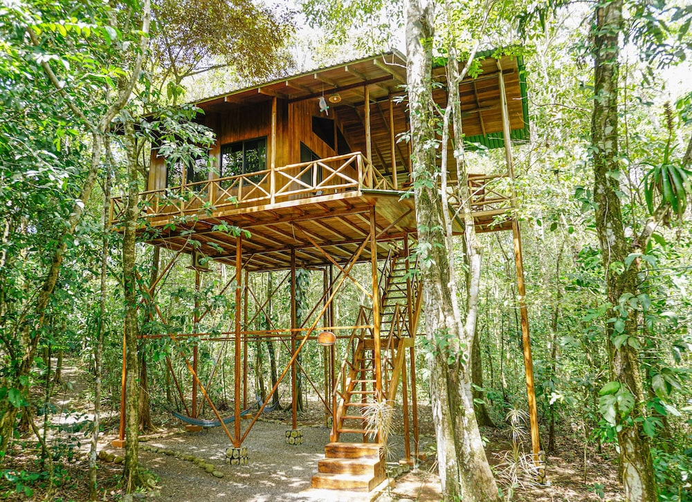 The Yiguirro Tree House photo 2