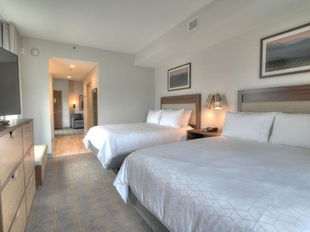 Suite, 1 Bedroom, Balcony (Parkway View) - Photo 6