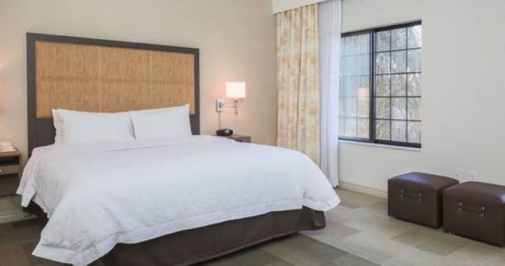 Room, 1 King Bed, Accessible, Non Smoking (Bathtub, Hearing) - Photo 3