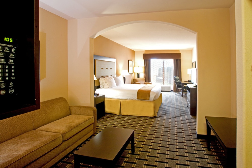 Suite, 1 King Bed with Sofa bed (Extra Floor Space) - Photo 1