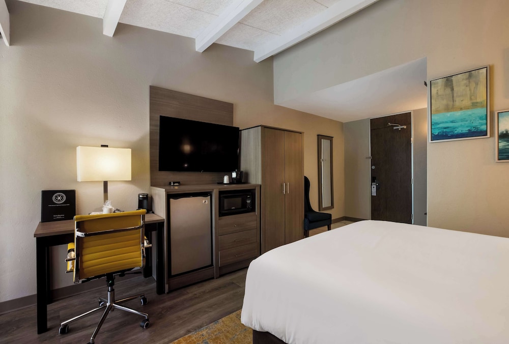 Standard Room, 1 Queen Bed, Non Smoking, Patio photo 1