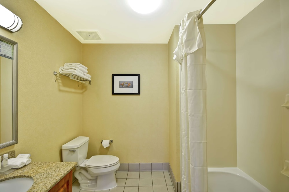 Suite, 1 King Bed, Accessible (Hearing) - Photo 4