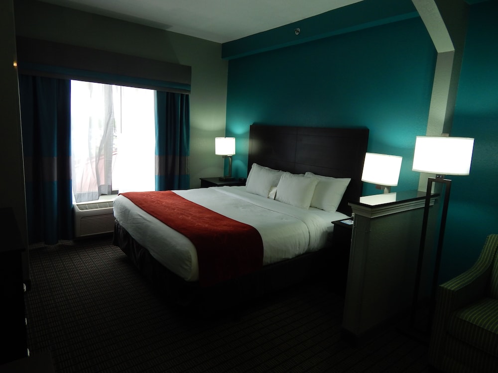 Suite, 1 King Bed with Sofa bed, Accessible, Non Smoking - Photo 1