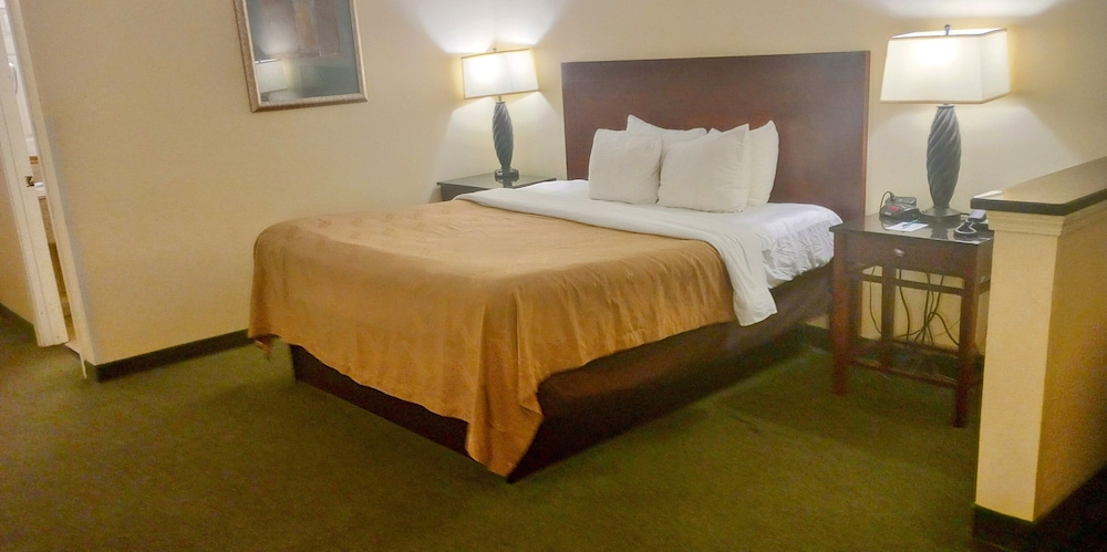 Standard Room, 1 King Bed, Non Smoking - Photo 3