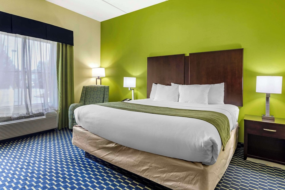 Suite, 1 King Bed, Non Smoking photo 3