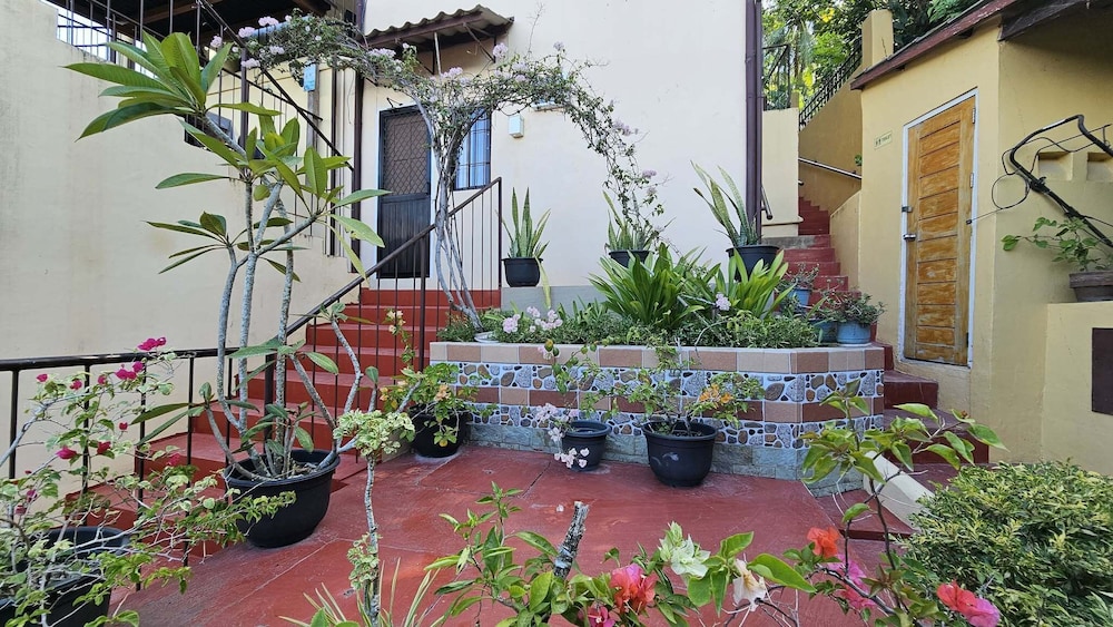 Room, Garden View