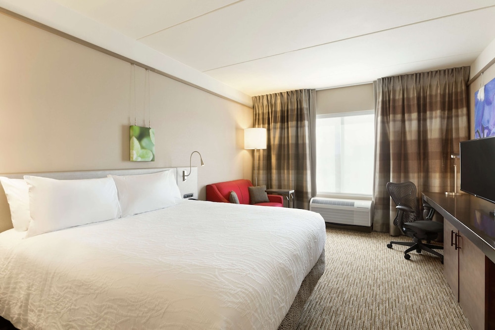 King Room, Accessible photo 3