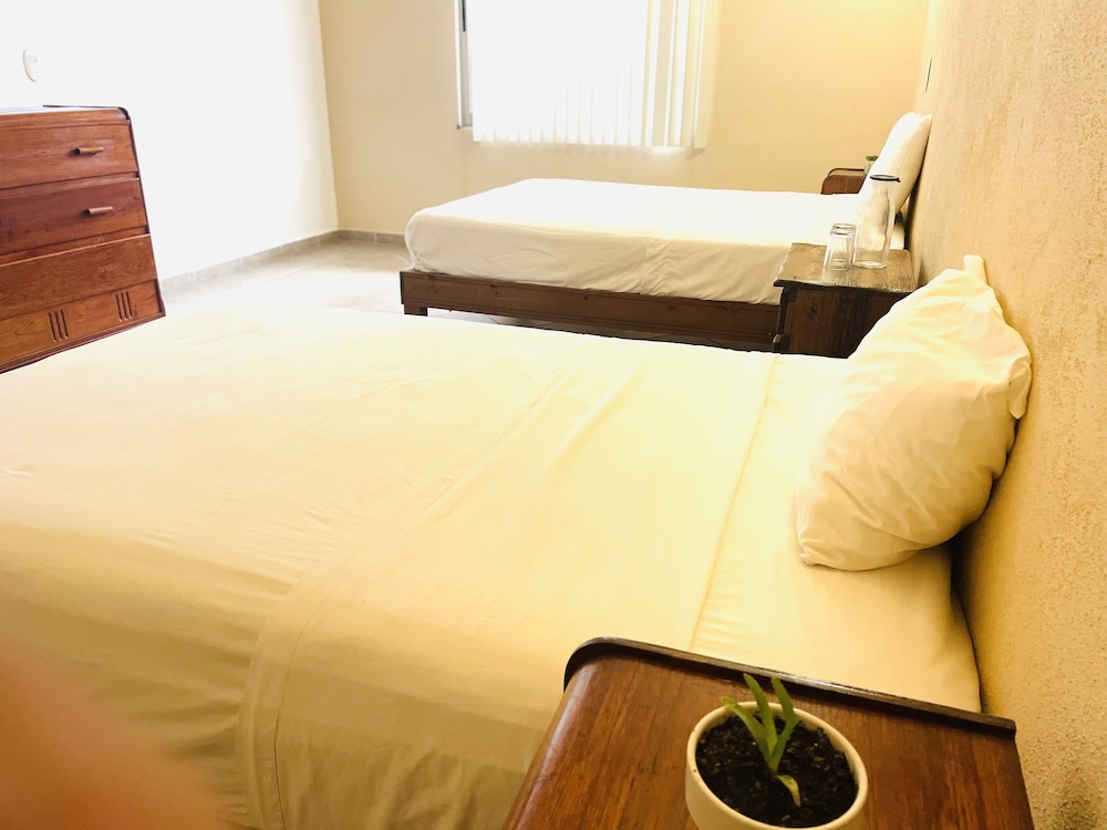 Suite Agaves 3 photo 1