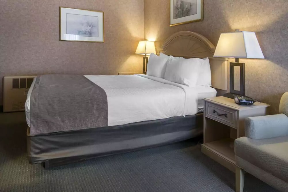 Basic Single Room, 1 Queen Bed, Non Smoking photo 2